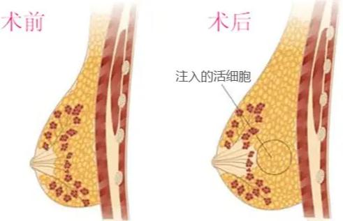 360截圖20220719142355574.jpg