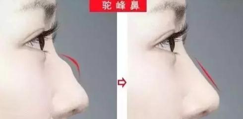 360截圖20220726110529367.jpg
