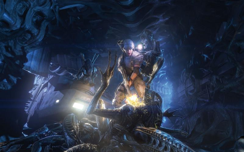 動物救援無人機飛行